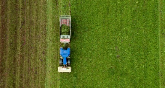 Actividades agrícolas y ganaderas: reducción para 2016 de determinados índices en el método de estimación objetiva del IRPF