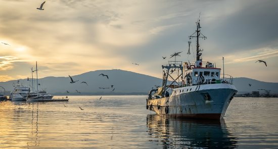 Bases de Cotización del Régimen Especial del Mar 2020