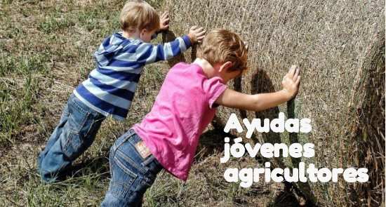 Publicado RDL 5/2020 que mejora la fiscalidad de las ayudas a la primera instalación de jóvenes agricultores